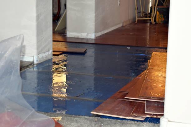 Professional Flood Damage Repair technician working in Jackson Center, OH